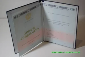 Купить диплом Бурятского филиала Национального исследовательского Томского государственного университета в Сызрани